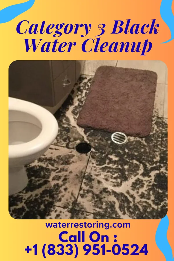 Category 3 Black Water Cleanup in Highland Falls, NY