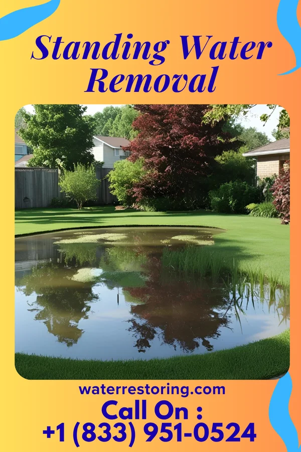 Standing Water Removal in Highland Falls, NY